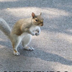 Meet your Posher, Eve